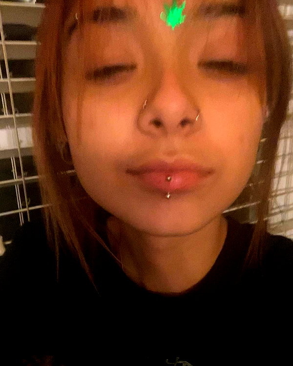 tecknopuppy instagram image archive image