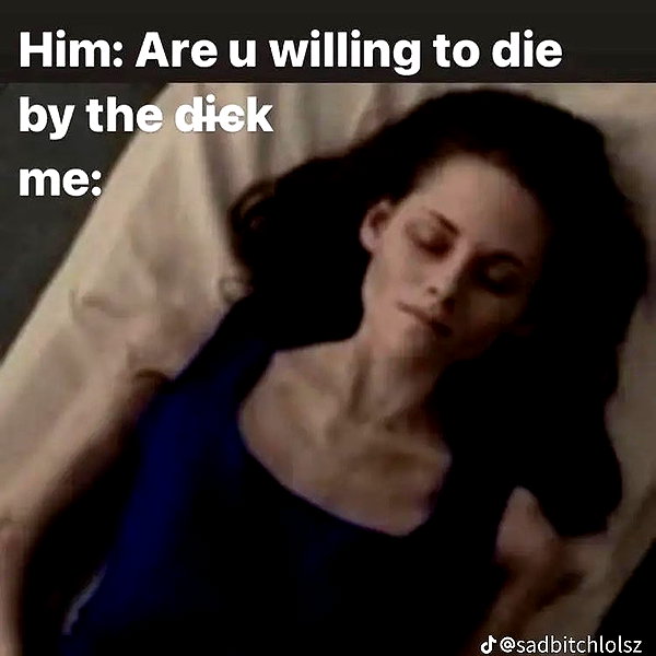 tecknopuppy instagram image archive image