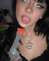 tecknopuppy Altpins Profile Picture