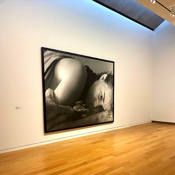 tecknopuppy instagram image archive image
