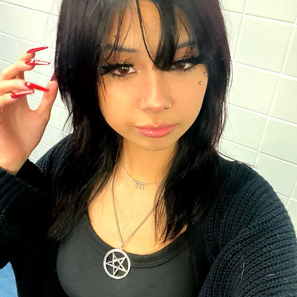 tecknopuppy instagram image archive image