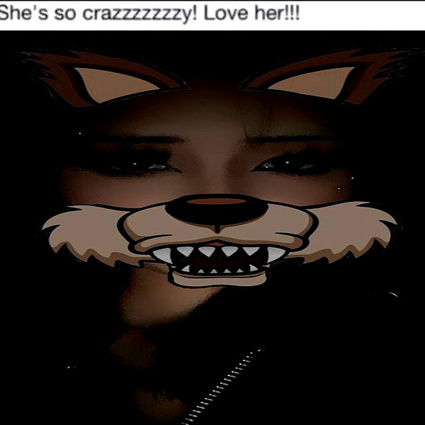 tecknopuppy instagram image archive image