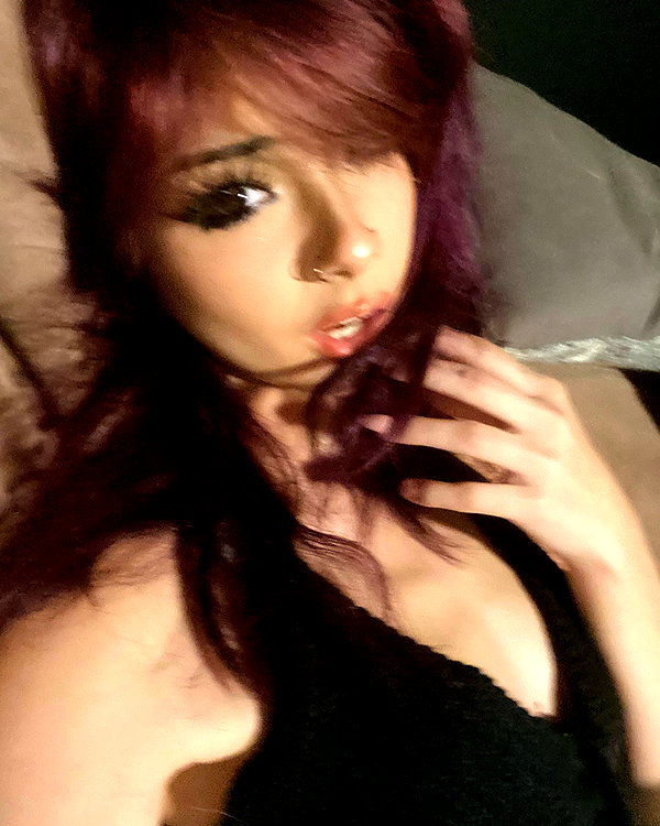 tecknopuppy instagram image archive image