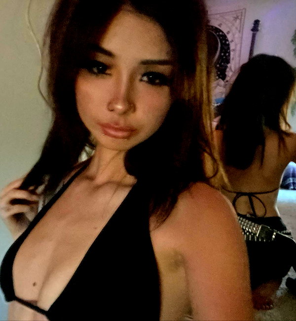 tecknopuppy instagram image archive image