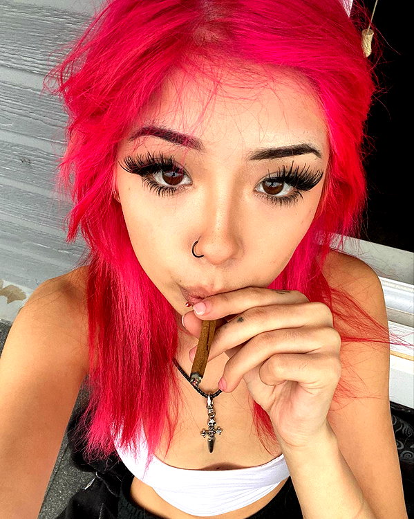 tecknopuppy instagram image archive image