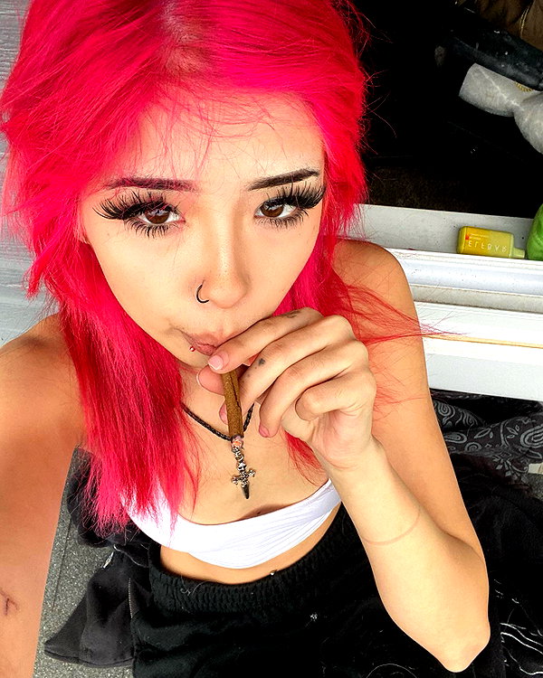 tecknopuppy instagram image archive image