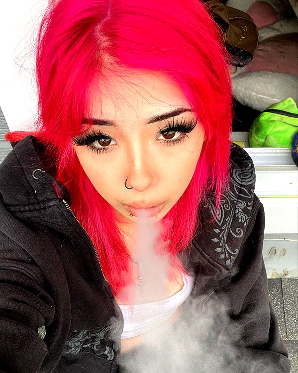 tecknopuppy instagram image archive image