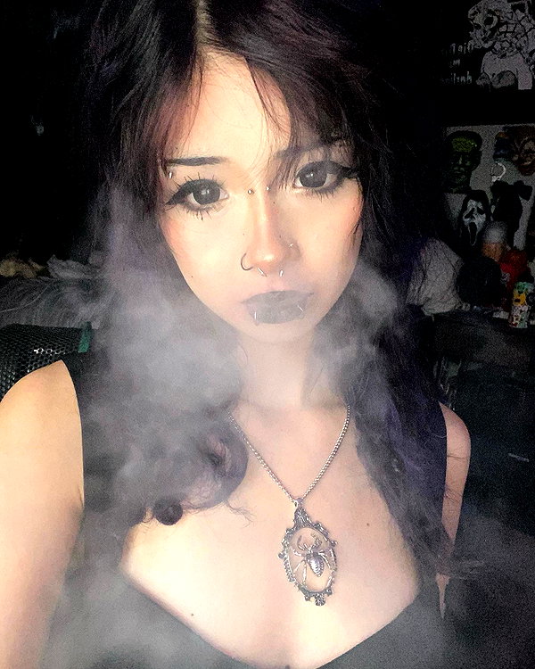 tecknopuppy instagram image archive image