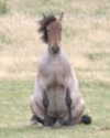 tecknopuppy Altpins Profile Picture
