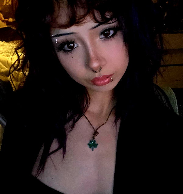 tecknopuppy instagram image archive image
