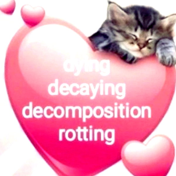 tecknopuppy instagram image archive image