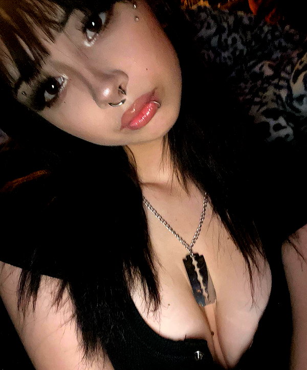 tecknopuppy instagram image archive image