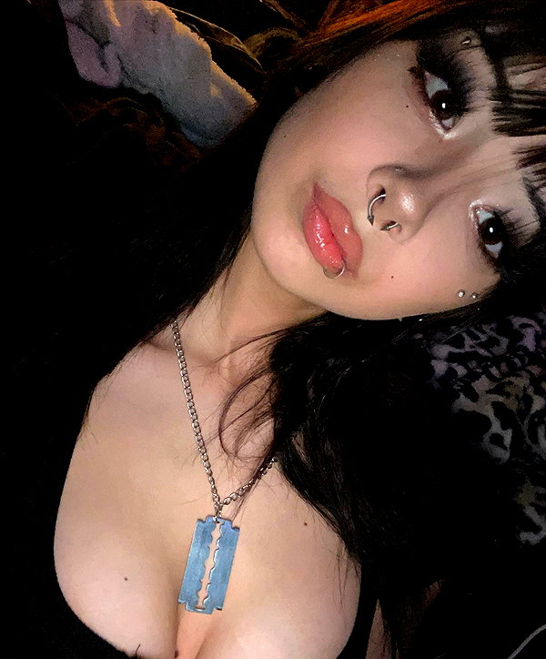 tecknopuppy instagram image archive image
