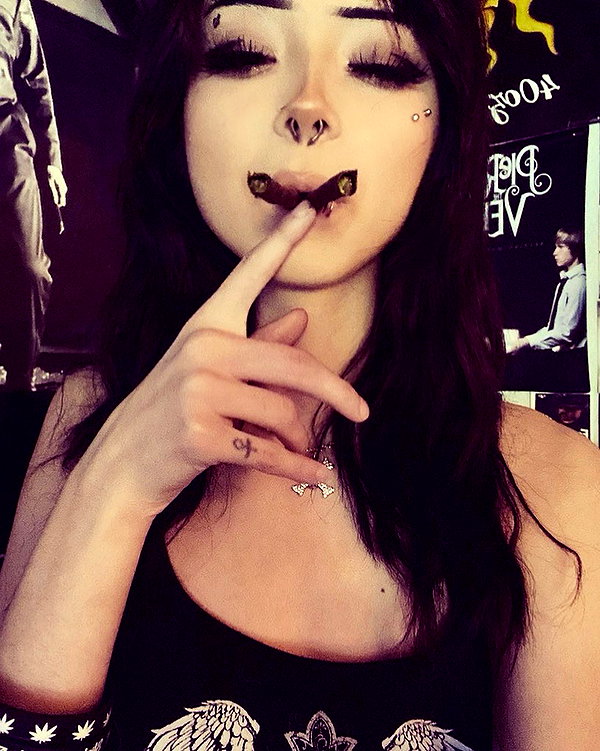 tecknopuppy instagram image archive image