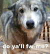 tecknopuppy Altpins Profile Picture