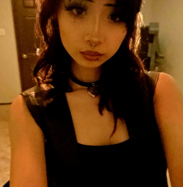 tecknopuppy instagram image archive image