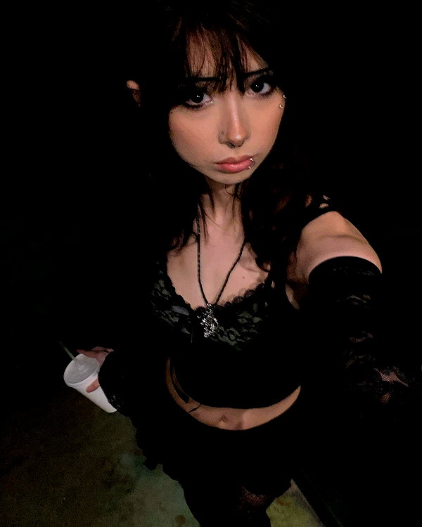 tecknopuppy instagram image archive image