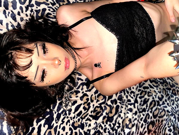 tecknopuppy instagram image archive image