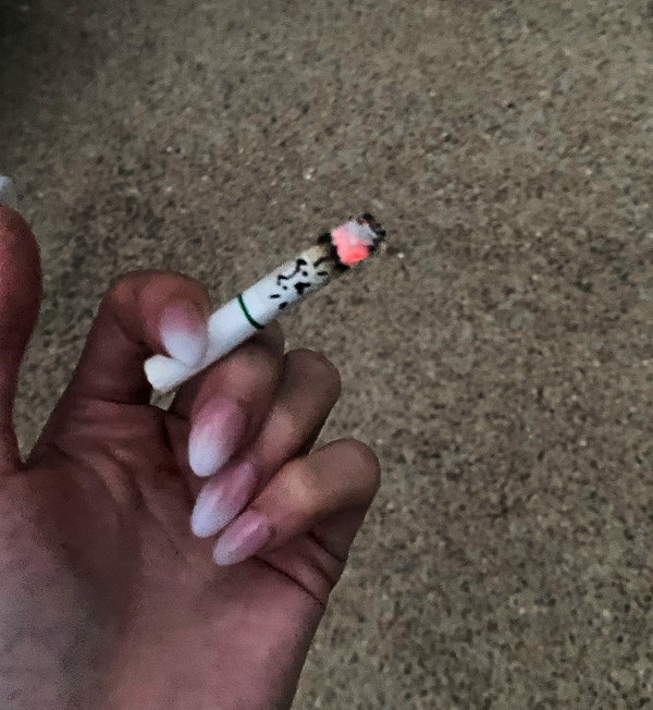 tecknopuppy instagram image archive image
