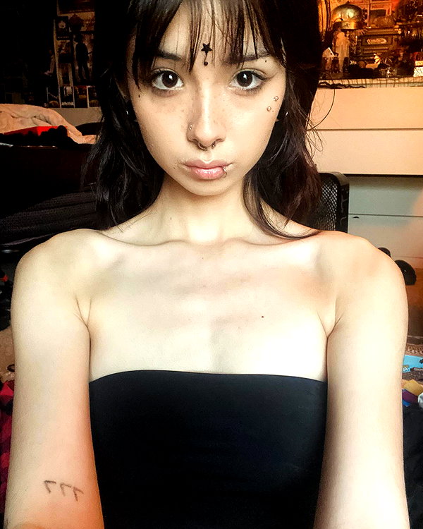 tecknopuppy instagram image archive image