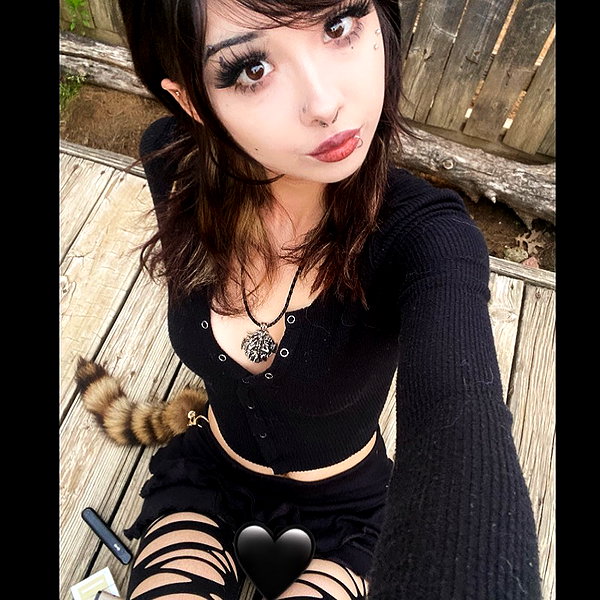 tecknopuppy instagram image archive image