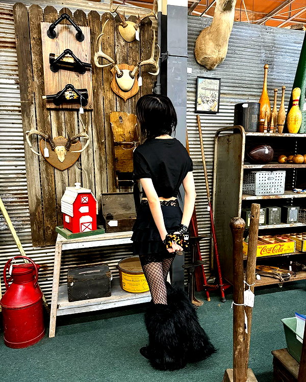tecknopuppy instagram image archive image