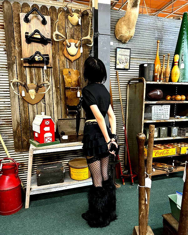 tecknopuppy instagram image archive image