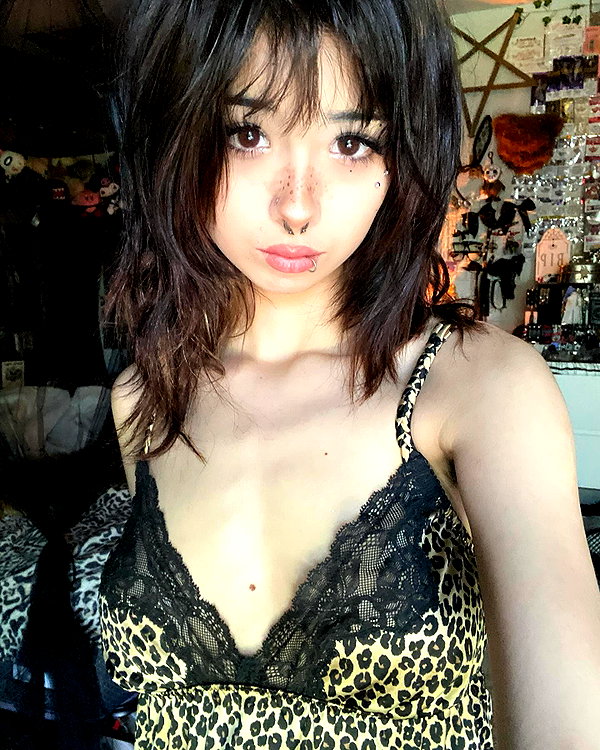 tecknopuppy instagram image archive image