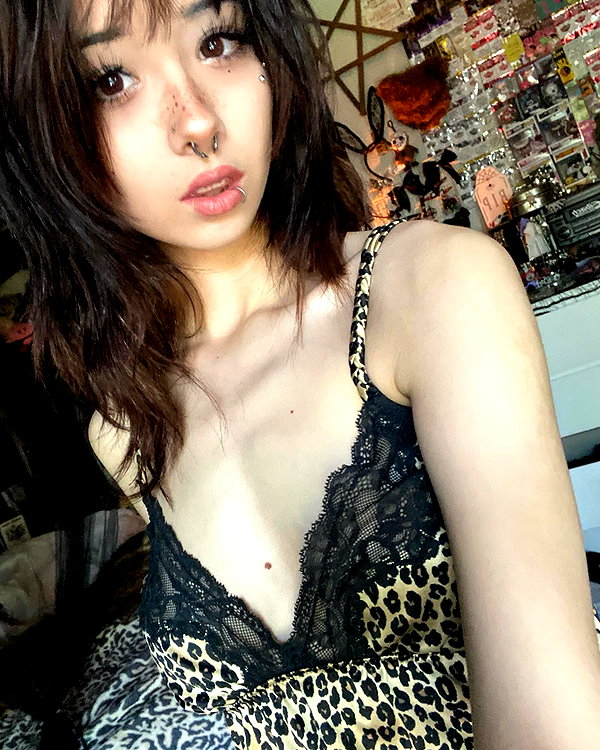 tecknopuppy instagram image archive image