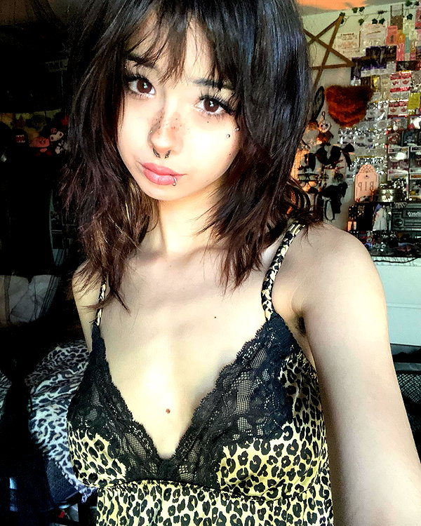 tecknopuppy instagram image archive image