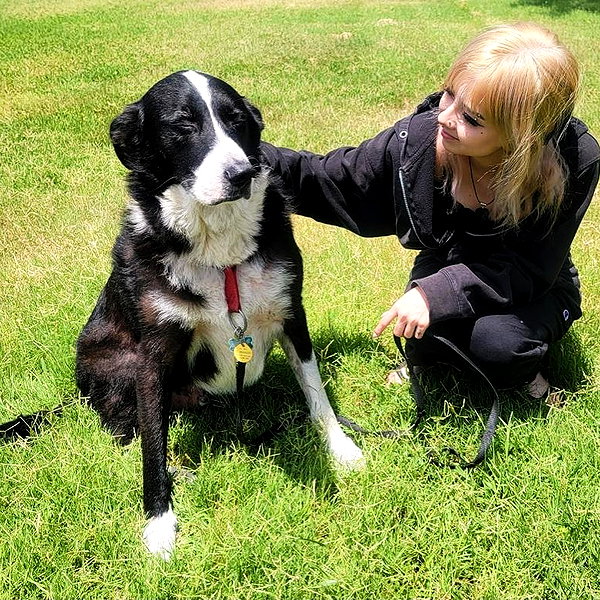 tecknopuppy instagram image archive image