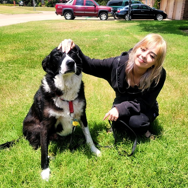 tecknopuppy instagram image archive image