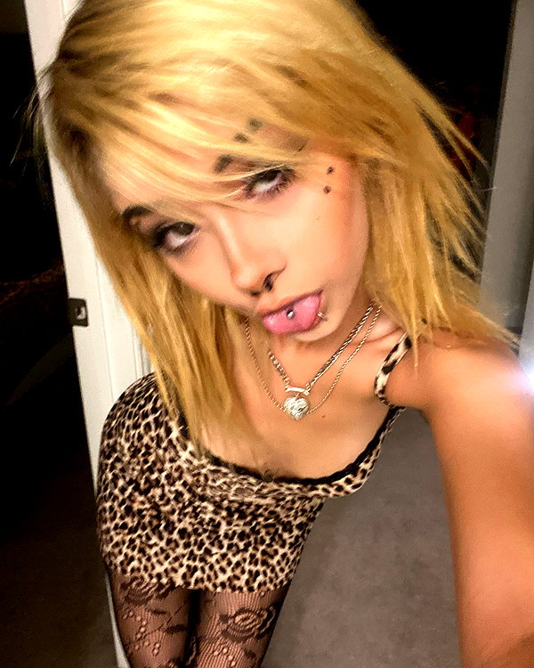 tecknopuppy instagram image archive image