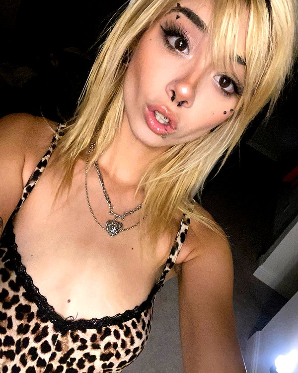tecknopuppy instagram image archive image