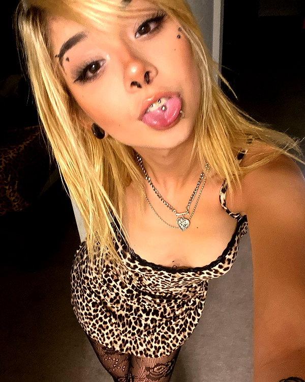 tecknopuppy instagram image archive image