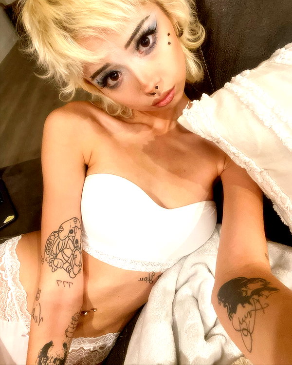 tecknopuppy instagram image archive image