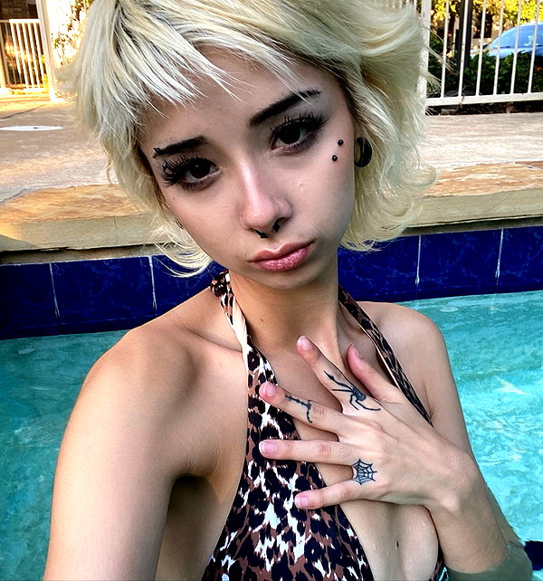 tecknopuppy instagram image archive image