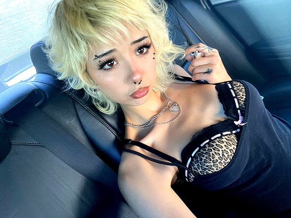 tecknopuppy instagram image archive image
