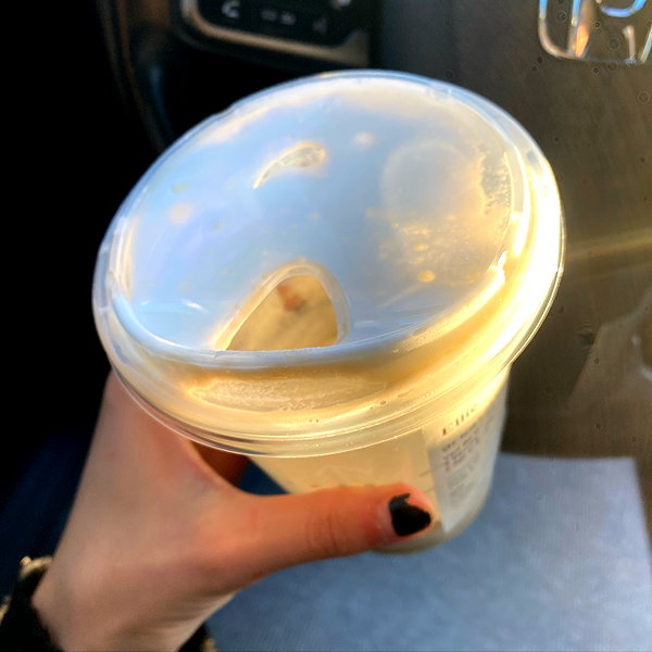 tecknopuppy instagram image archive image