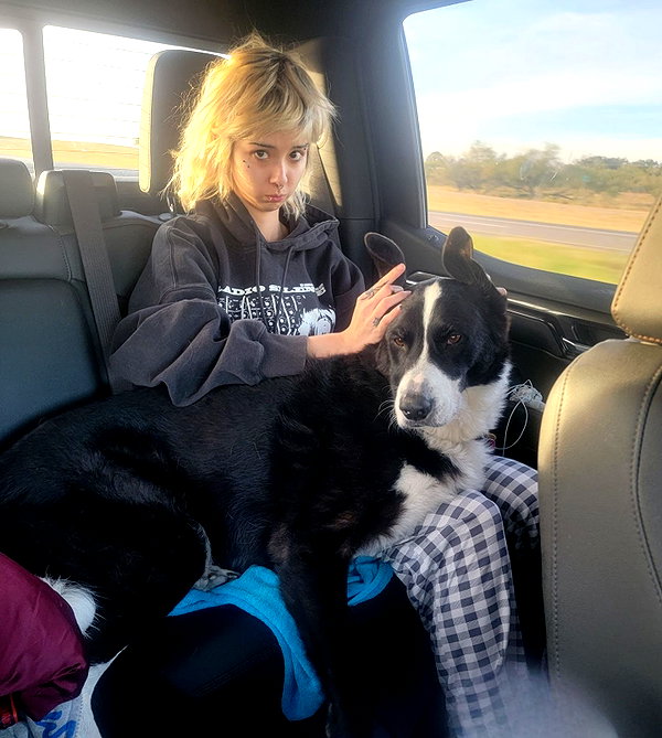 tecknopuppy instagram image archive image