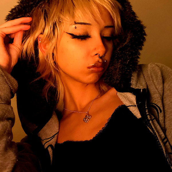 tecknopuppy instagram image archive image