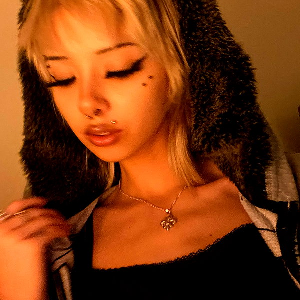 tecknopuppy instagram image archive image