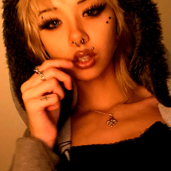tecknopuppy instagram image archive image