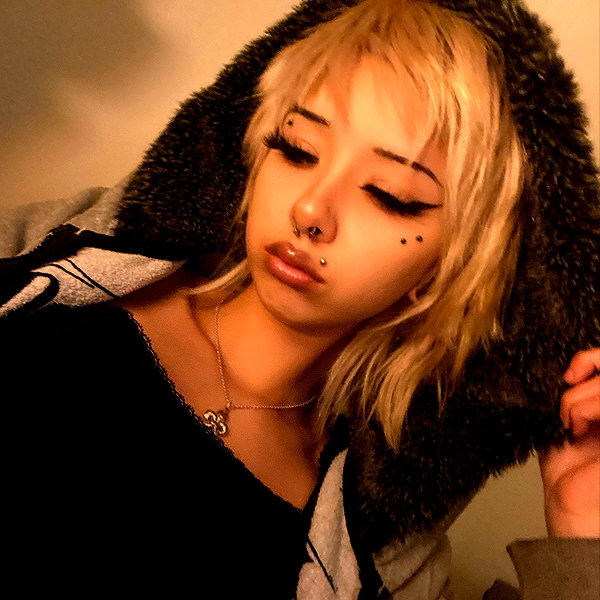 tecknopuppy instagram image archive image