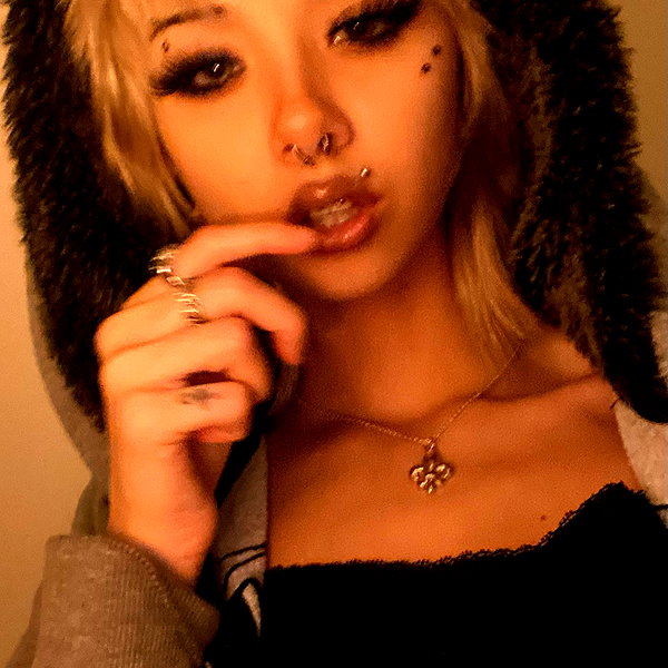 tecknopuppy instagram image archive image