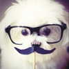 tecknopuppy Altpins Profile Picture