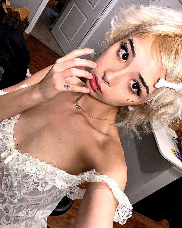 tecknopuppy instagram image archive image