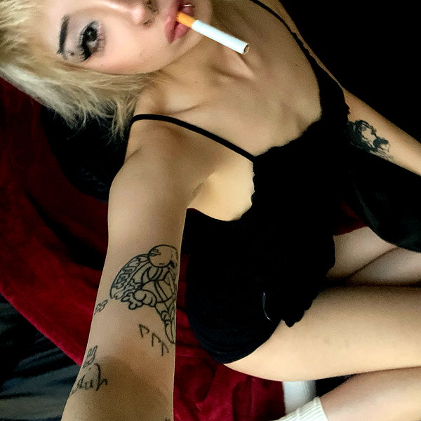 tecknopuppy instagram image archive image