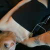 tecknopuppy Altpins Profile Picture