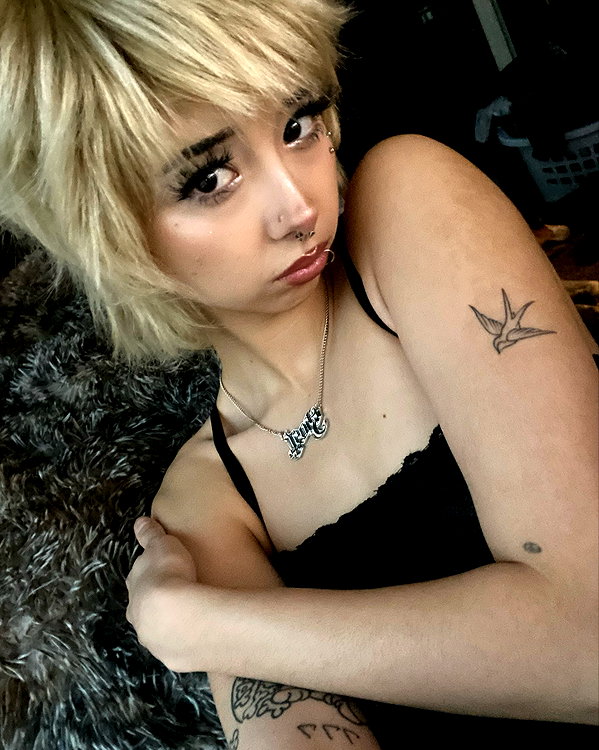 tecknopuppy instagram image archive image